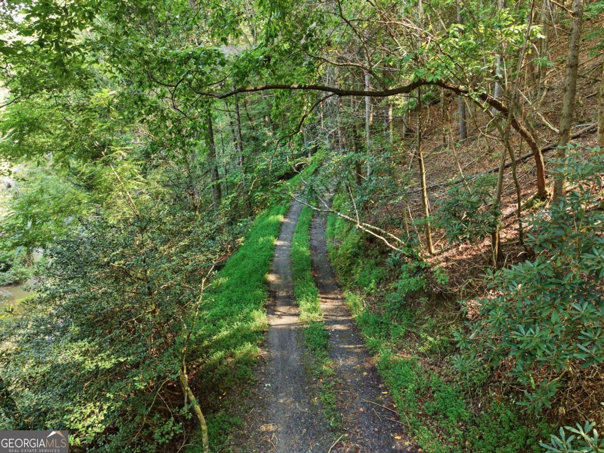 259 Sutton Ridge Way Ellijay GA 30540