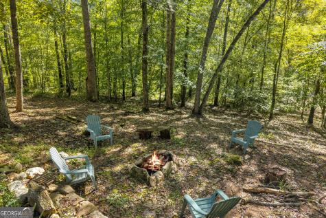 399 Grindstone Creek Drive Clarkesville GA 30523
