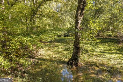 399 Grindstone Creek Drive Clarkesville GA 30523