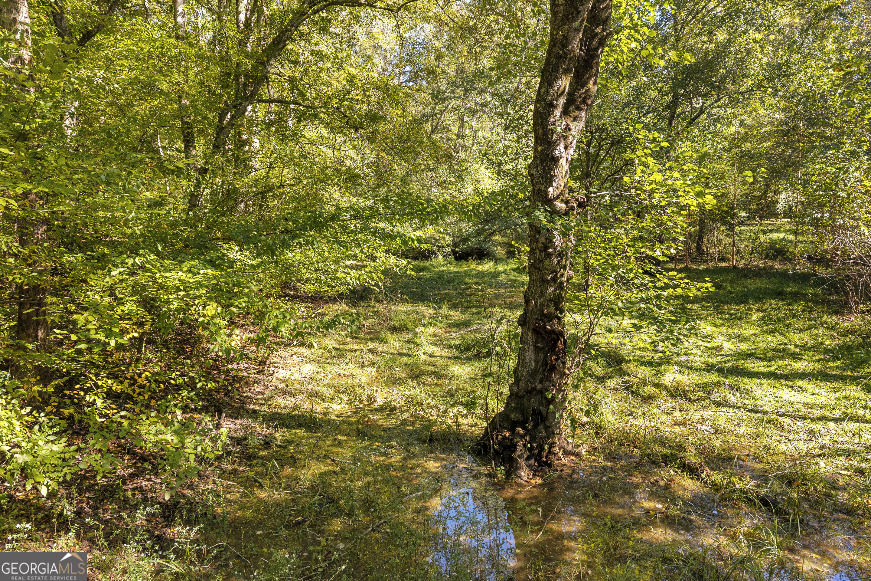 399 Grindstone Creek Drive Clarkesville GA 30523