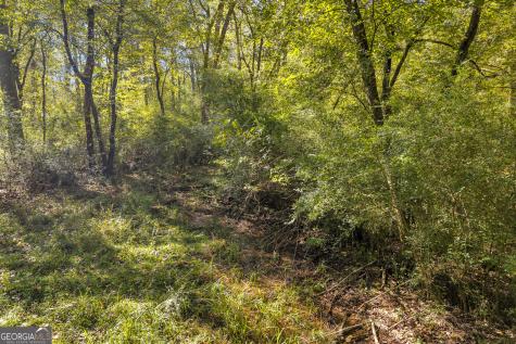 399 Grindstone Creek Drive Clarkesville GA 30523