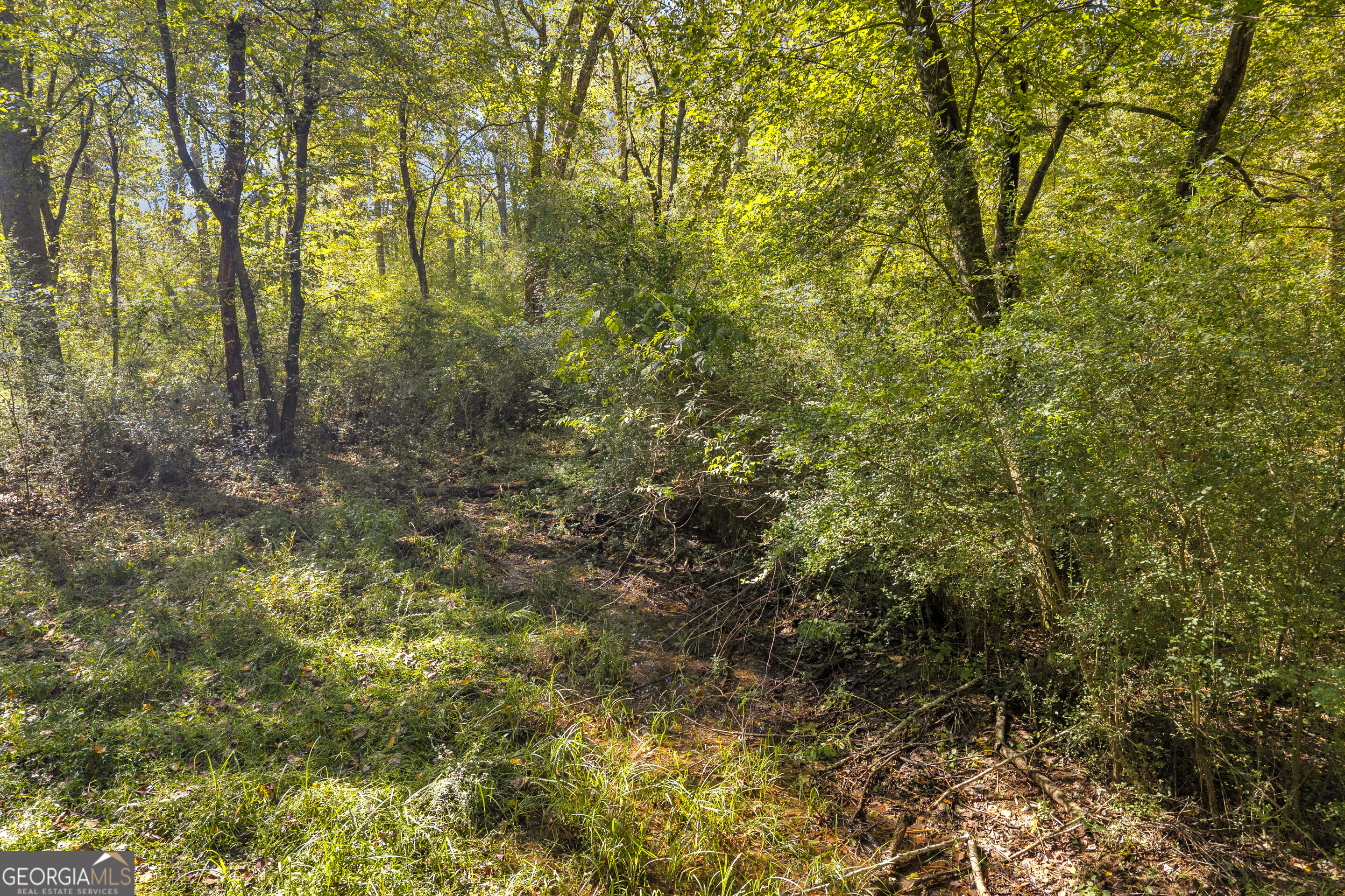 399 Grindstone Creek Drive Clarkesville GA 30523
