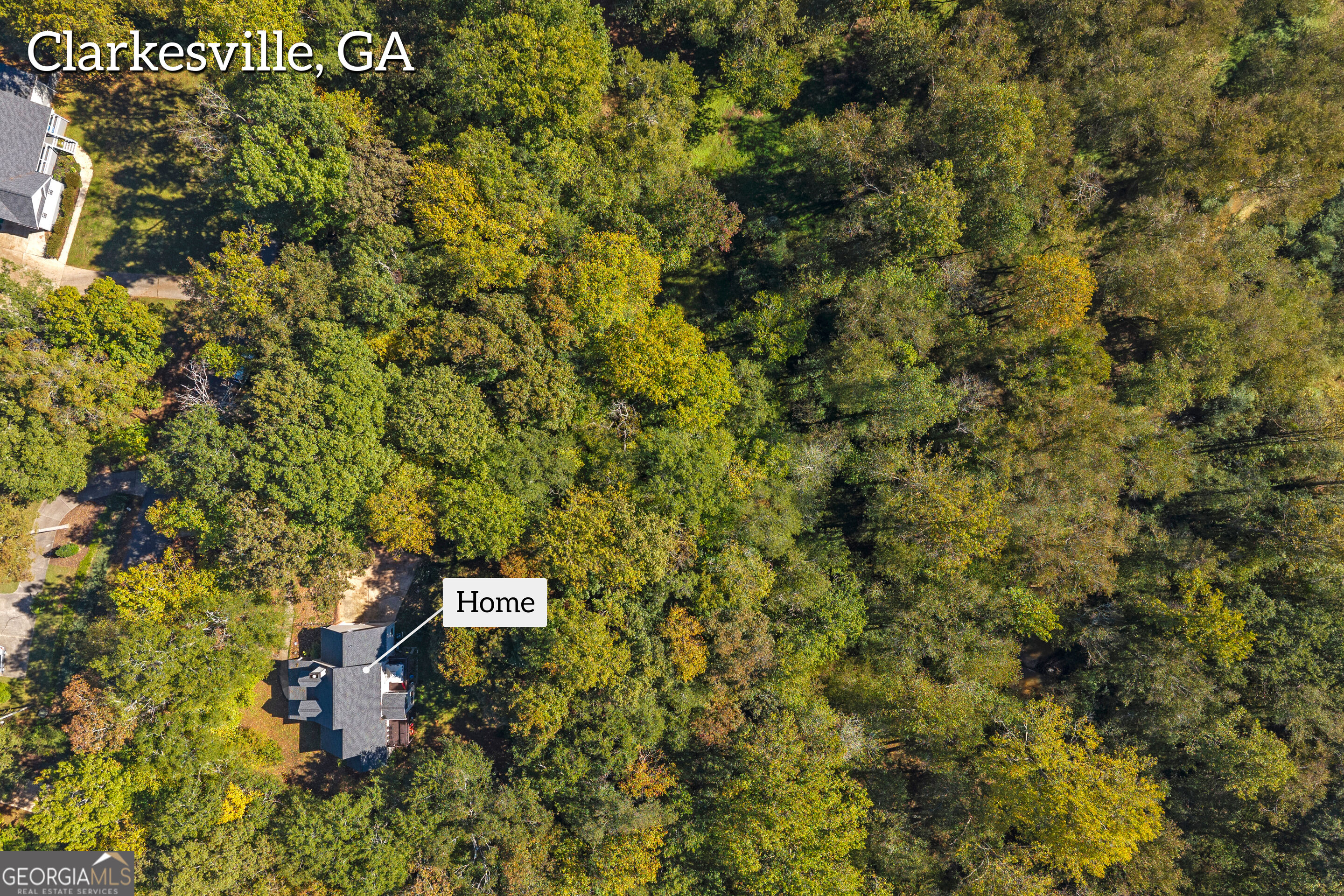 399 Grindstone Creek Drive Clarkesville GA 30523