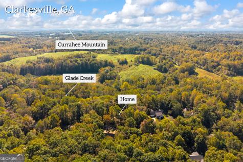 399 Grindstone Creek Drive Clarkesville GA 30523