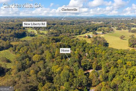 399 Grindstone Creek Drive Clarkesville GA 30523