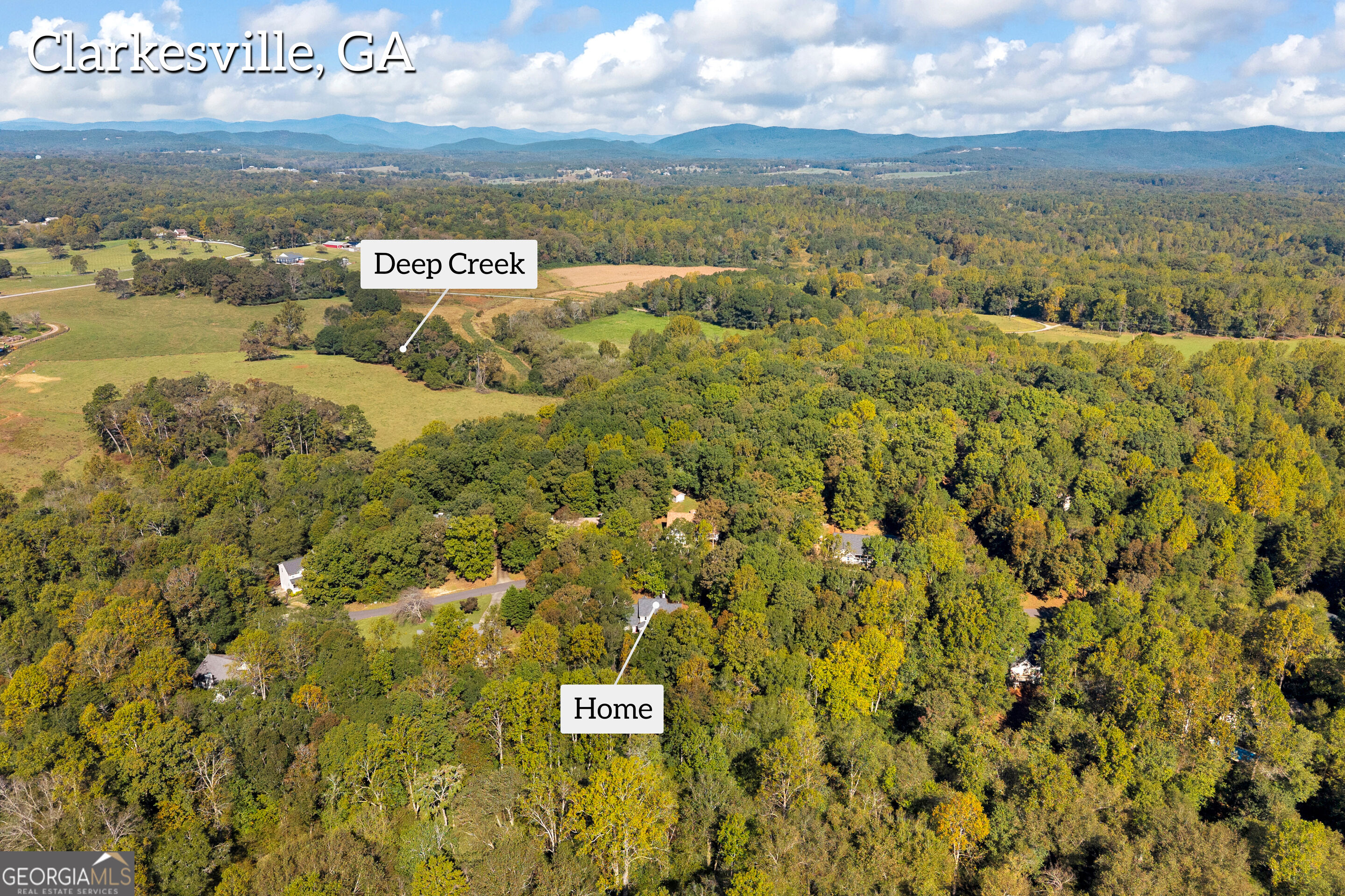 399 Grindstone Creek Drive Clarkesville GA 30523