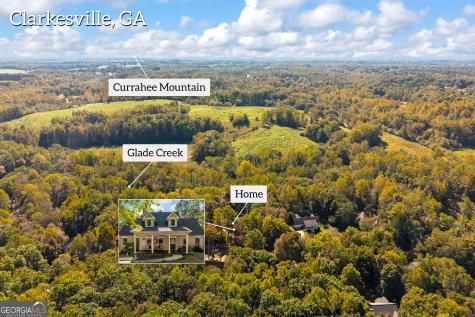 399 Grindstone Creek Drive Clarkesville GA 30523