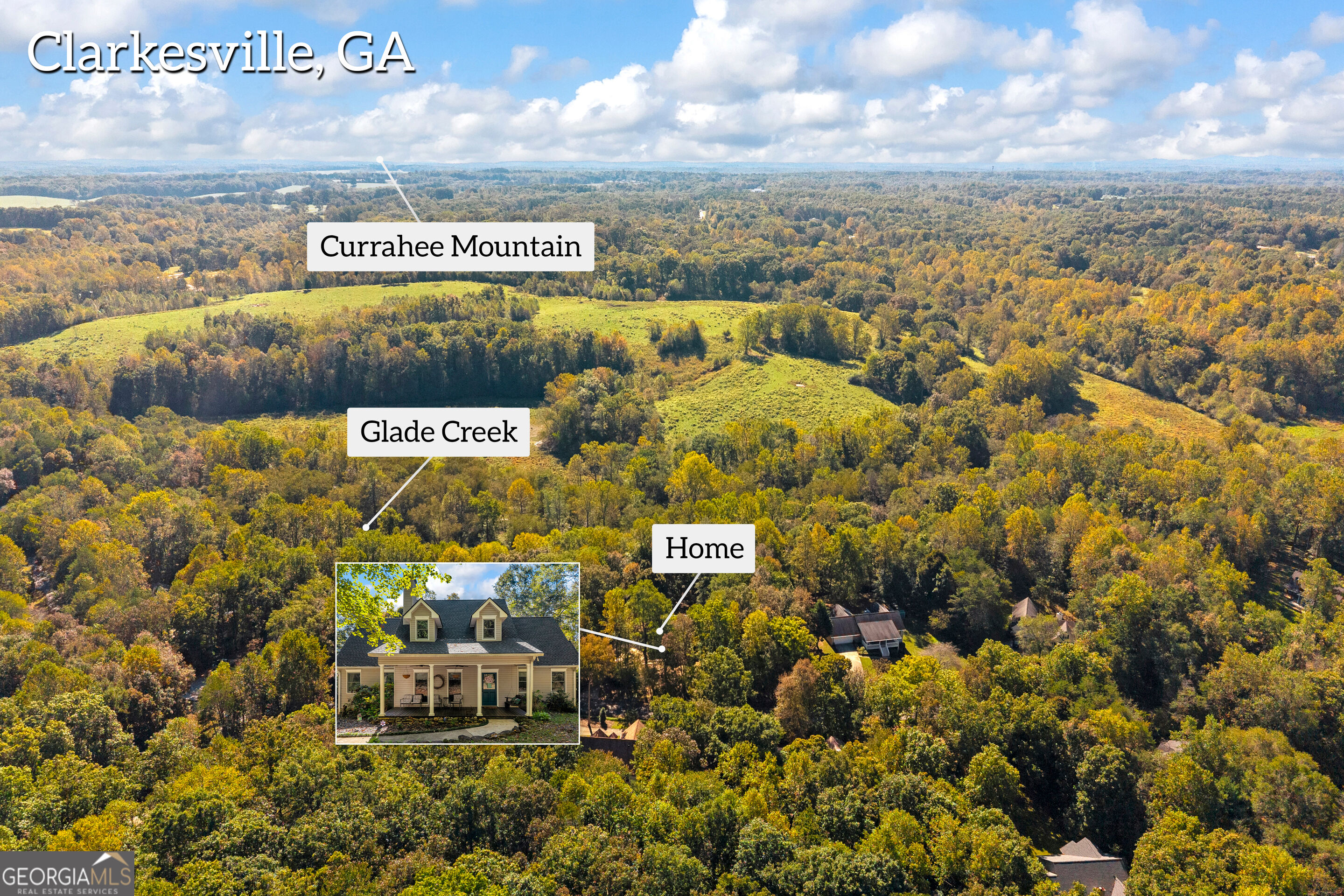 399 Grindstone Creek Drive Clarkesville GA 30523