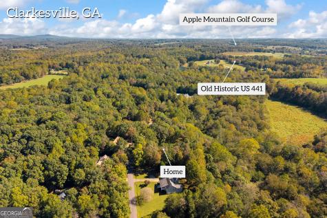 399 Grindstone Creek Drive Clarkesville GA 30523