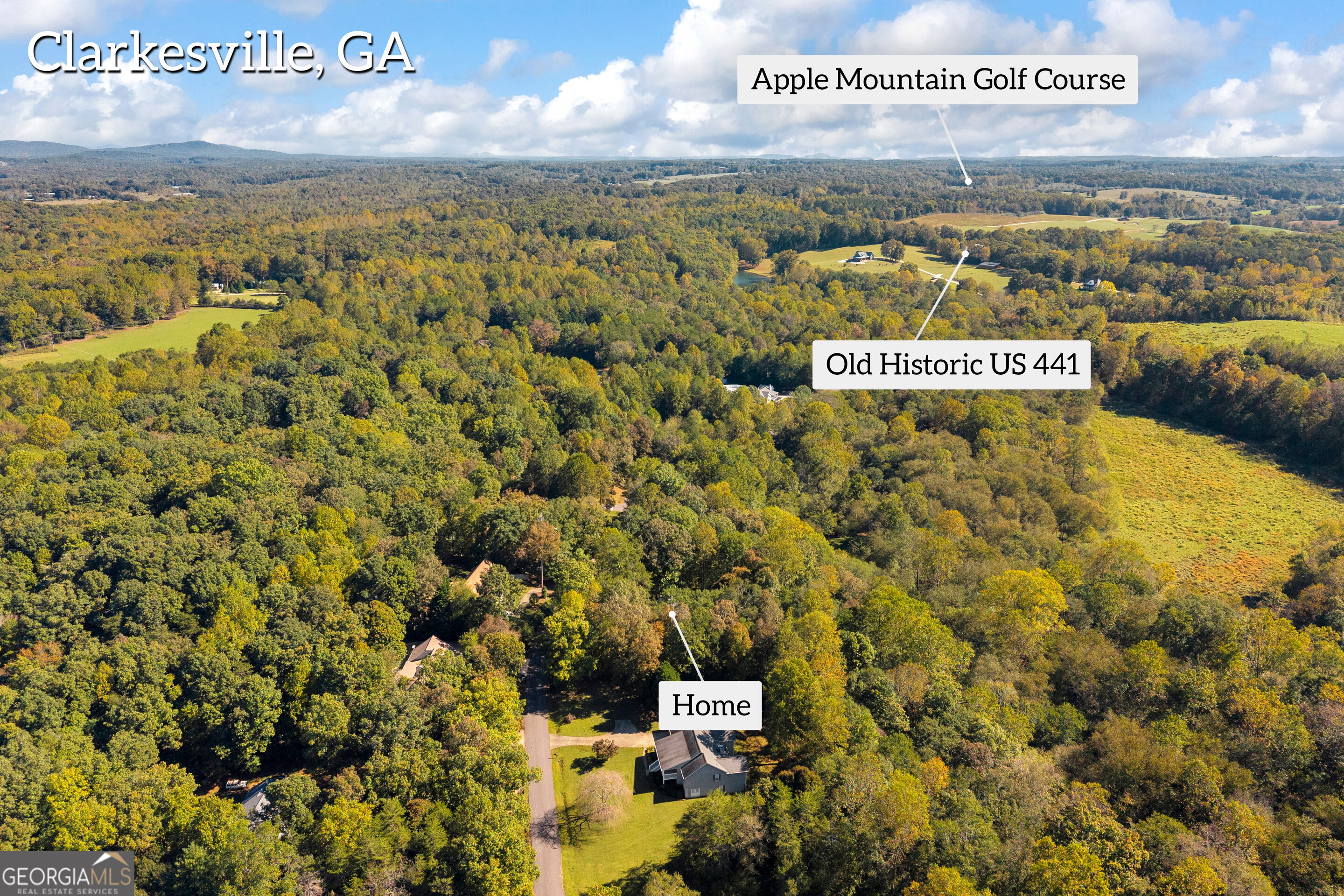 399 Grindstone Creek Drive Clarkesville GA 30523