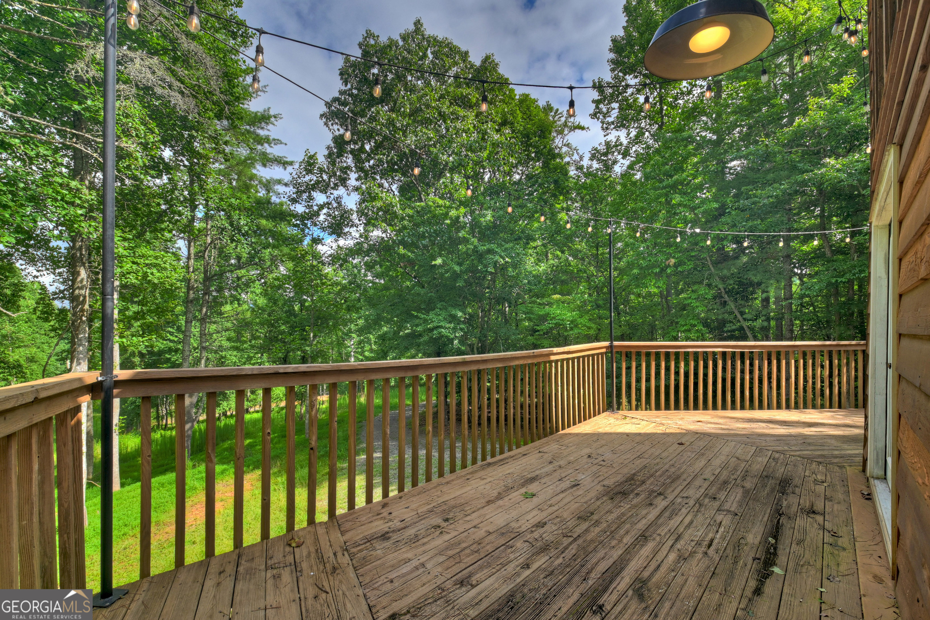 2 Watson Gap Road Mineral Bluff GA 30559