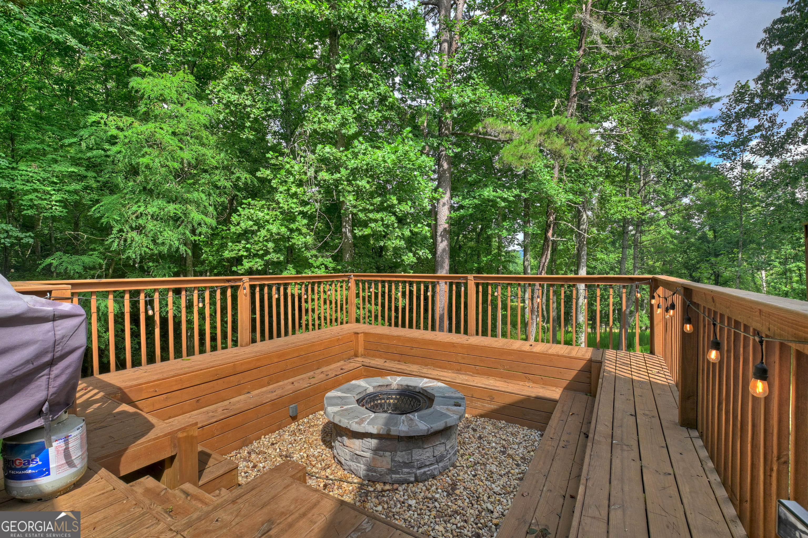 2 Watson Gap Road Mineral Bluff GA 30559