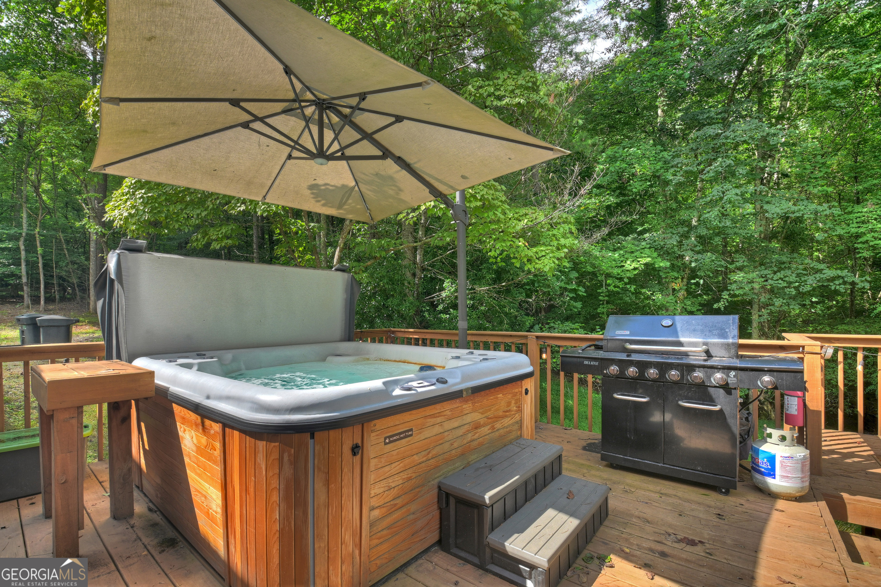 2 Watson Gap Road Mineral Bluff GA 30559