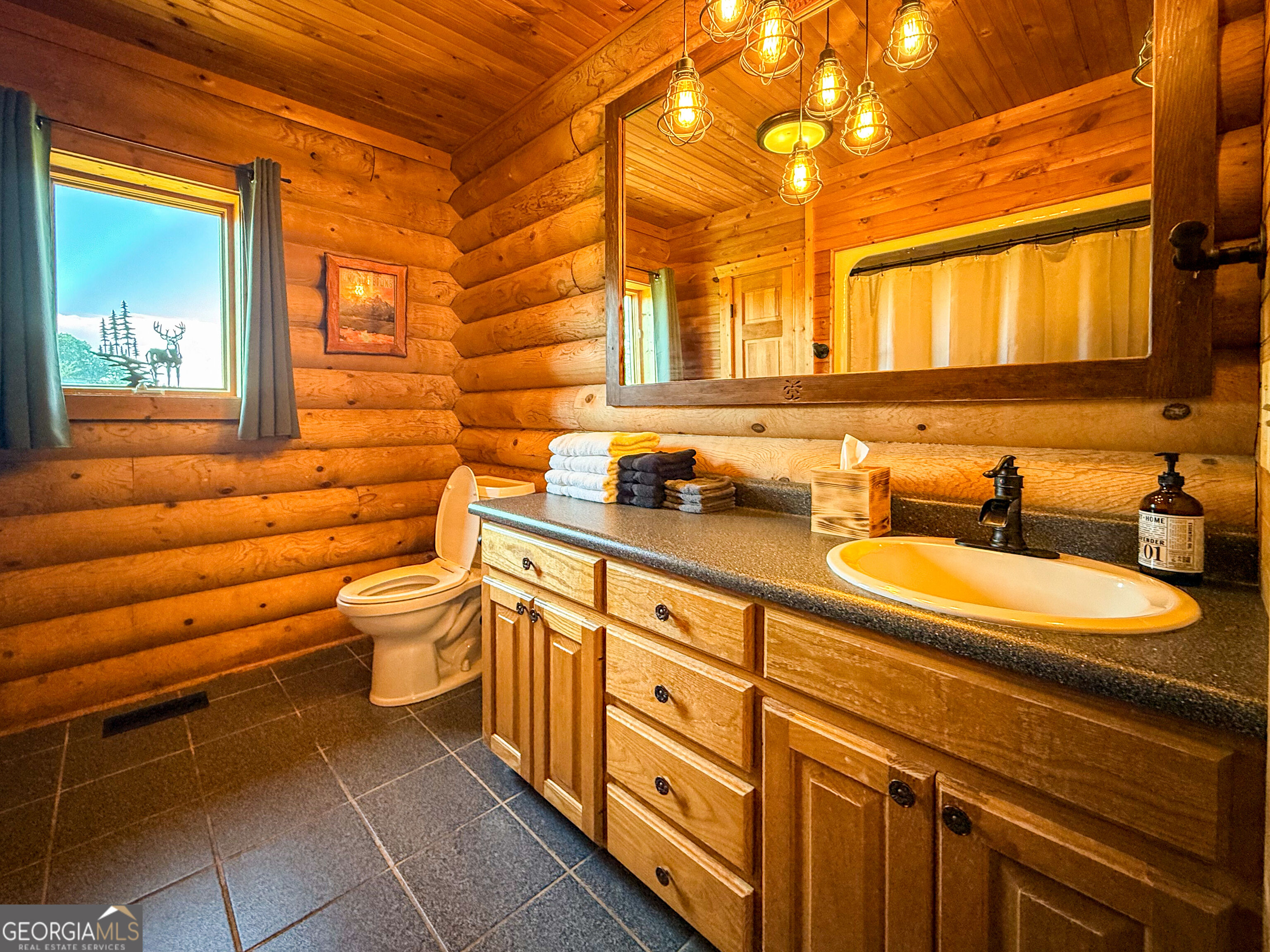 448 Dixie Meadow Lane Mount Airy GA 30563