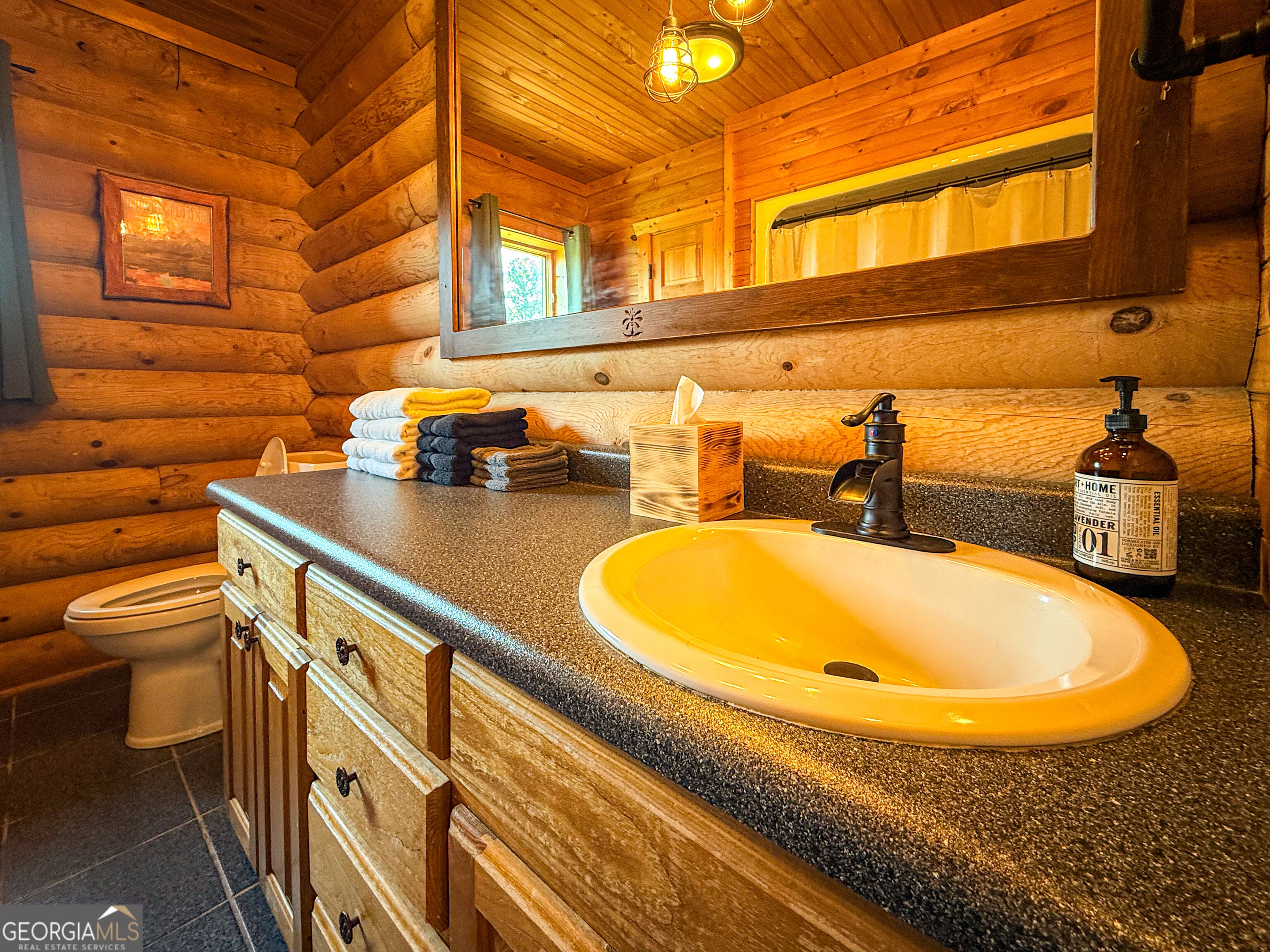 448 Dixie Meadow Lane Mount Airy GA 30563