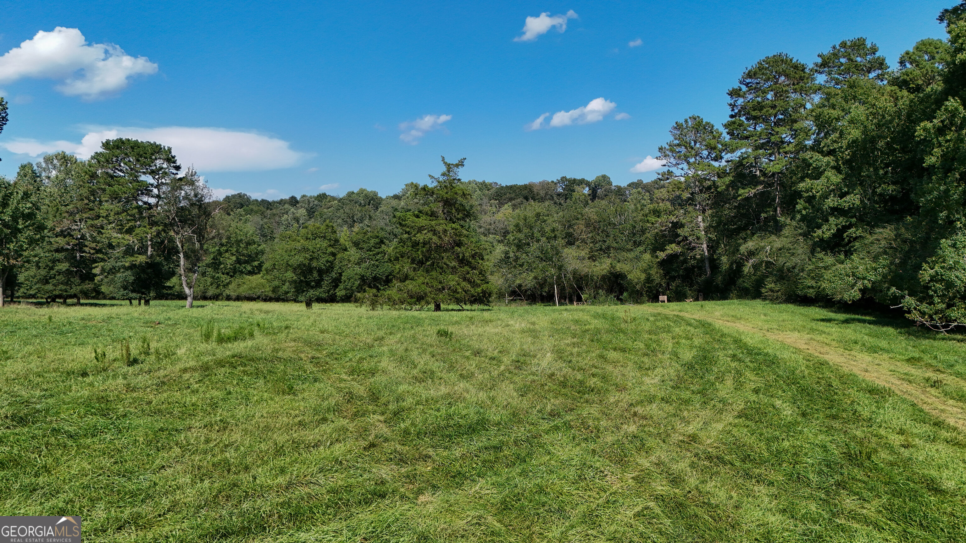 448 Dixie Meadow Lane Mount Airy GA 30563