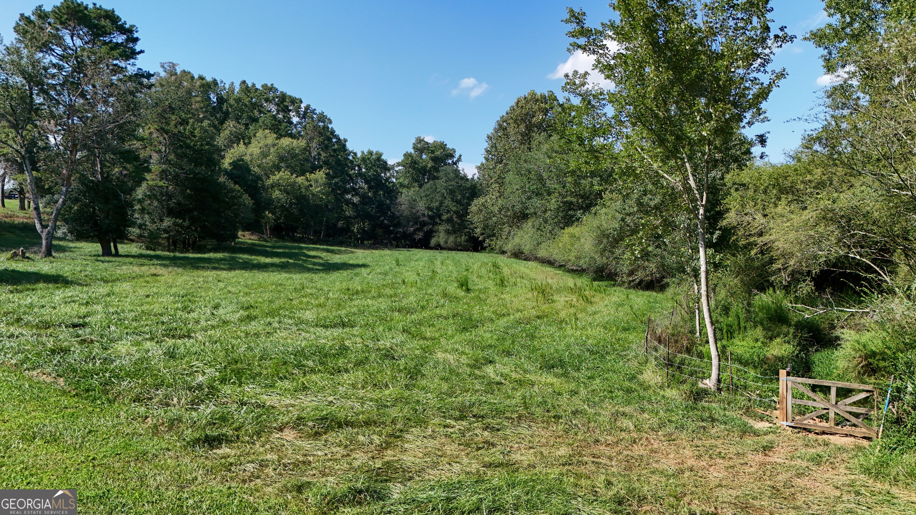 448 Dixie Meadow Lane Mount Airy GA 30563
