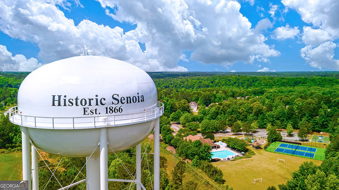 345 Staffin Drive Senoia GA 30276