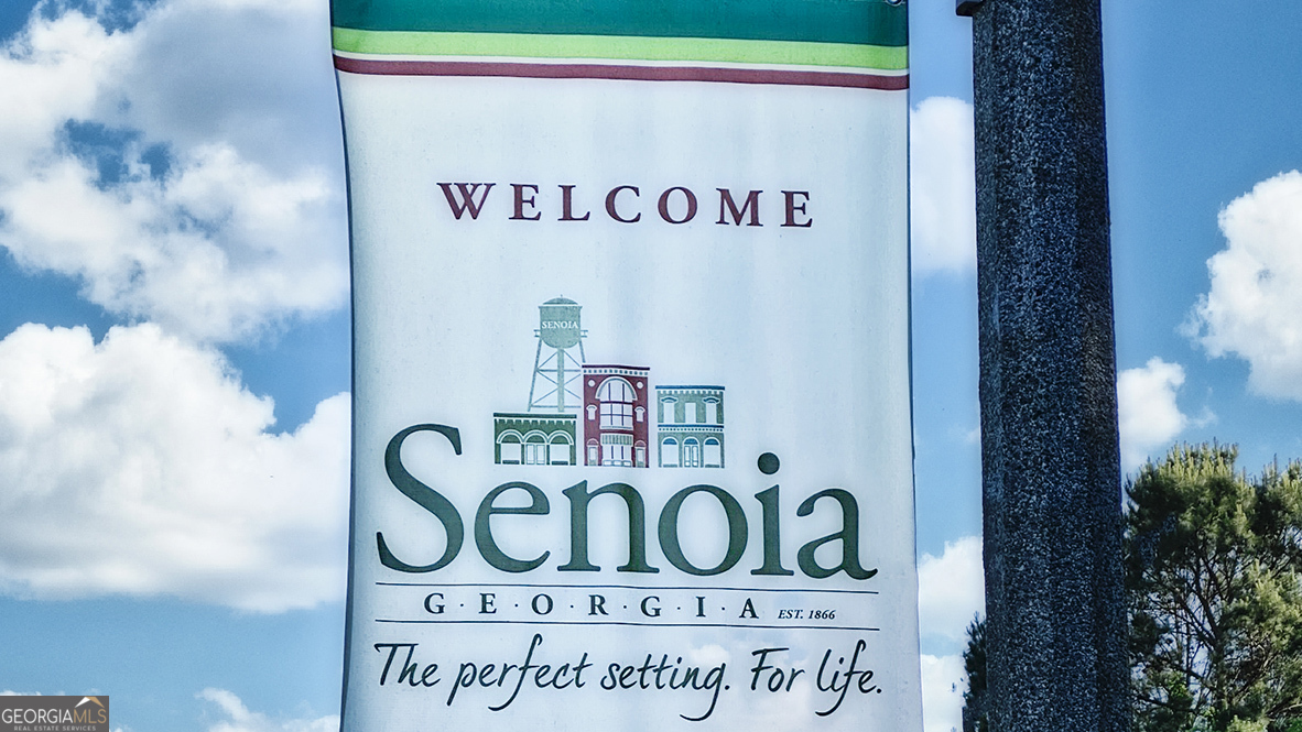 345 Staffin Drive Senoia GA 30276