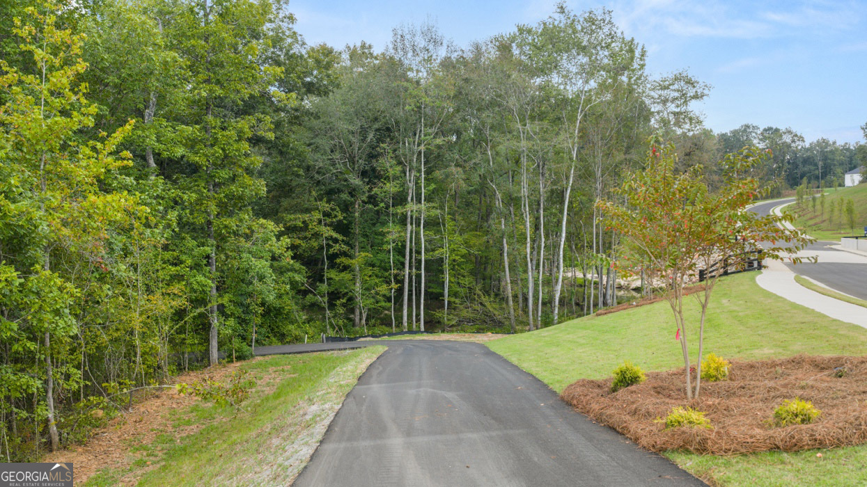 345 Staffin Drive Senoia GA 30276