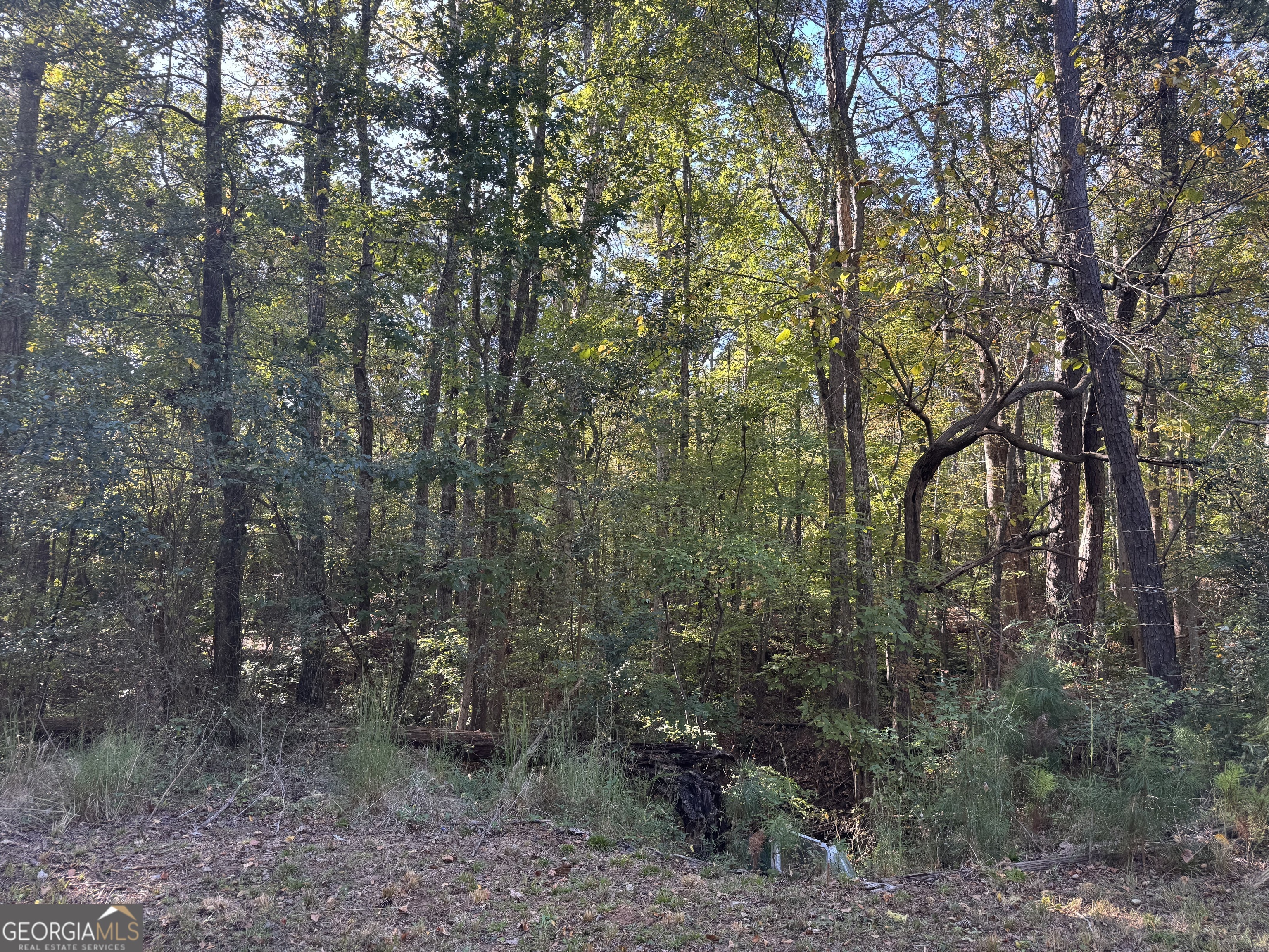 1516 Stark Road Jackson GA 30233