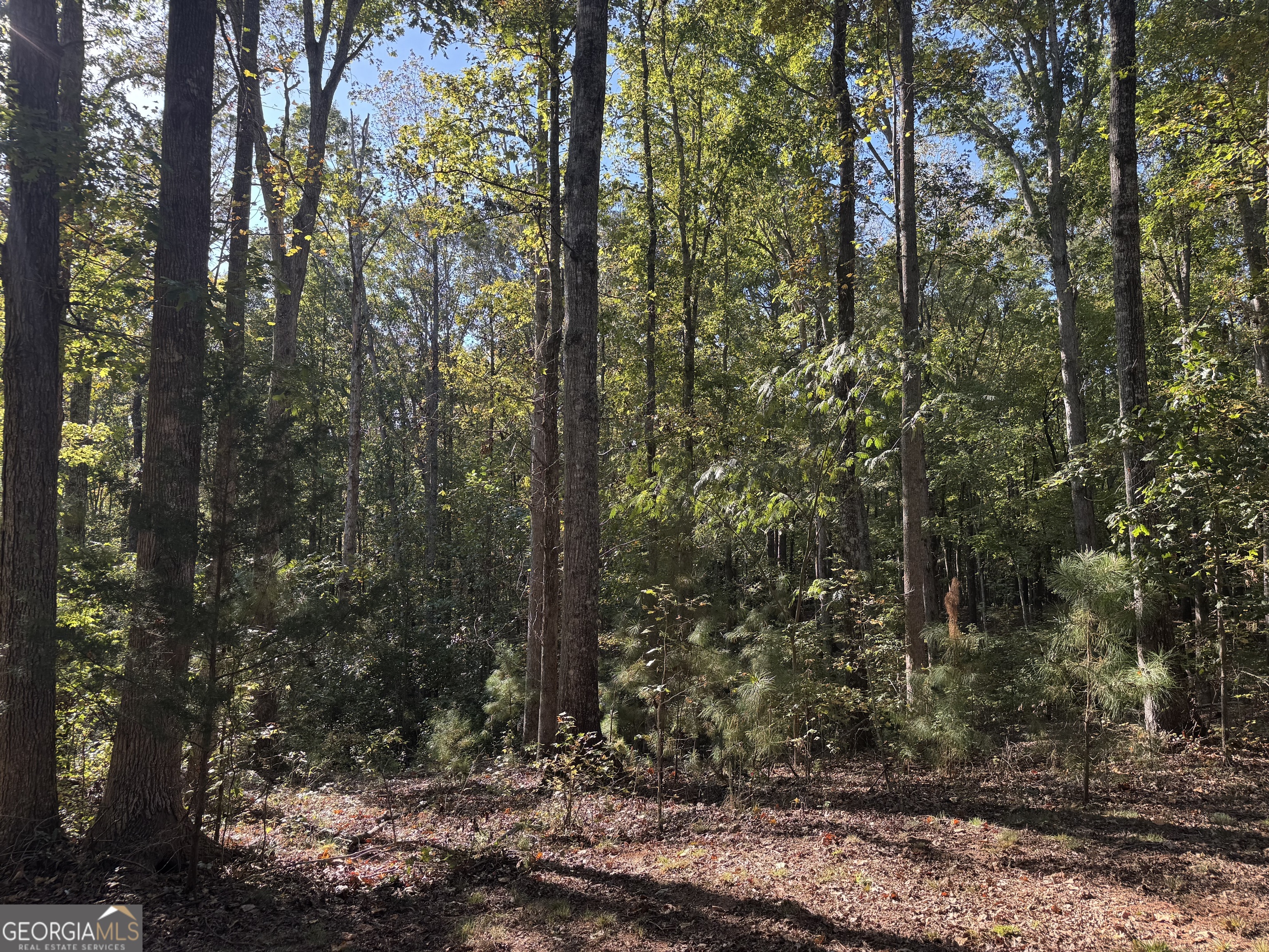 1516 Stark Road Jackson GA 30233