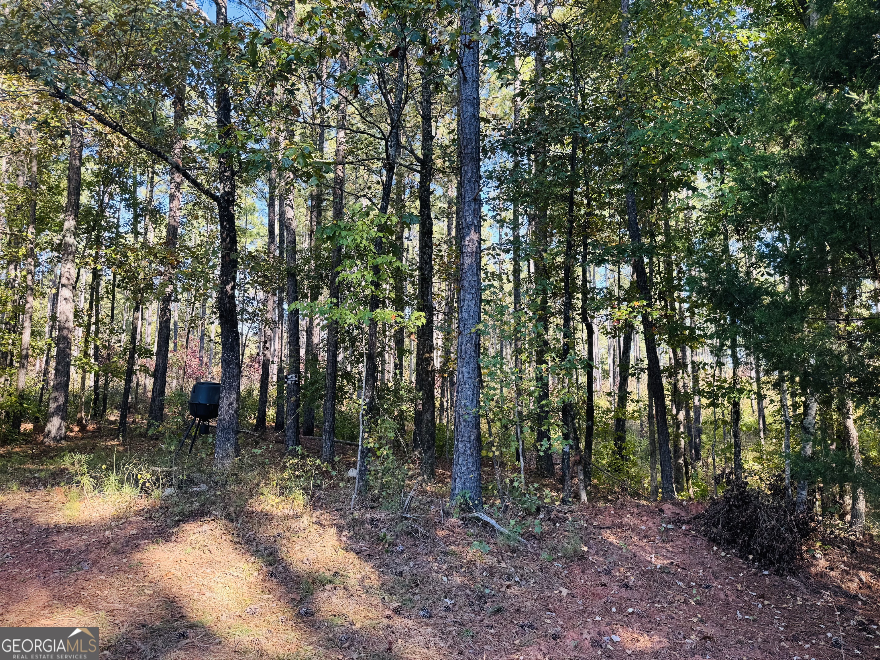 1516 Stark Road Jackson GA 30233