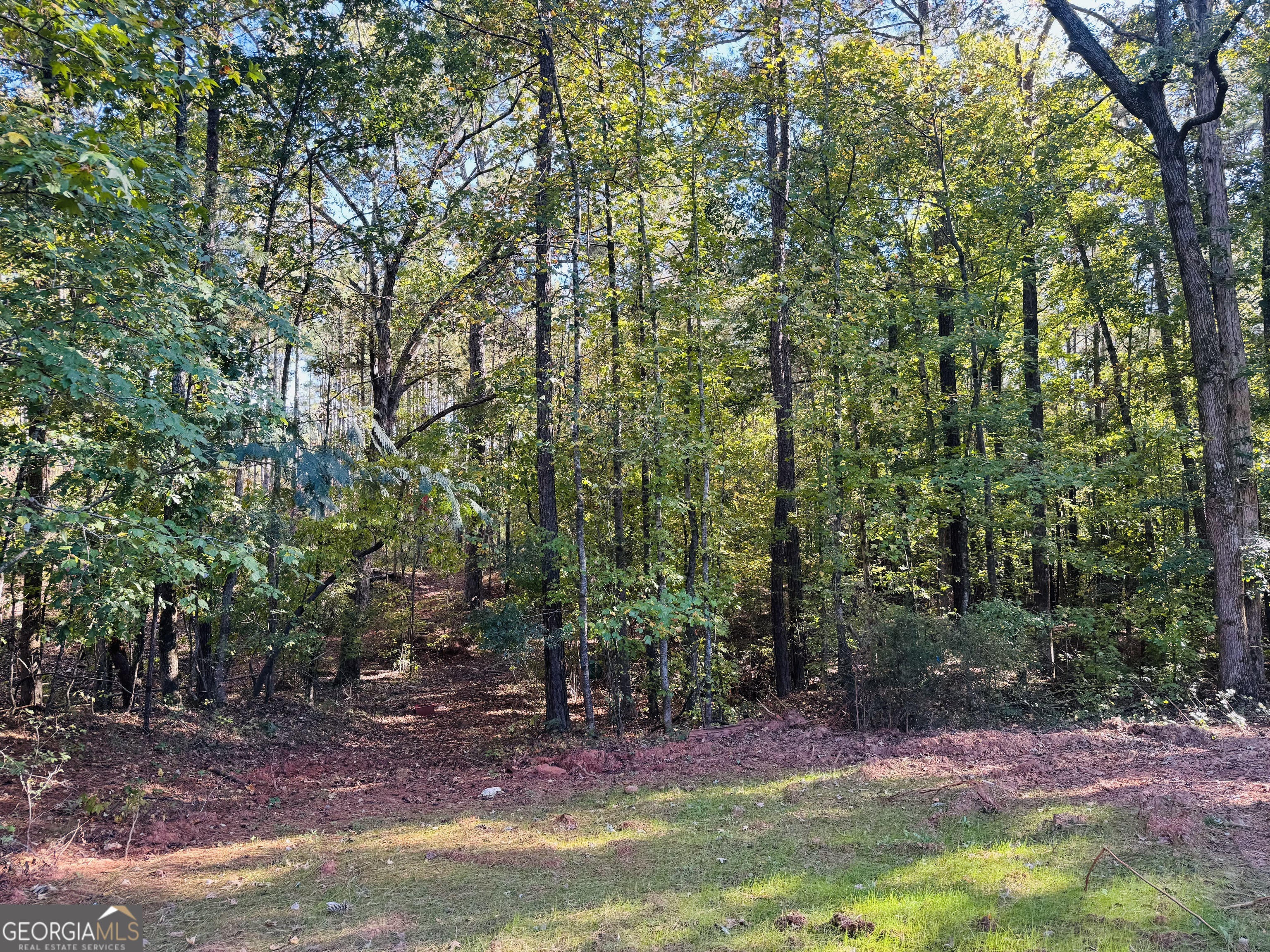 1516 Stark Road Jackson GA 30233