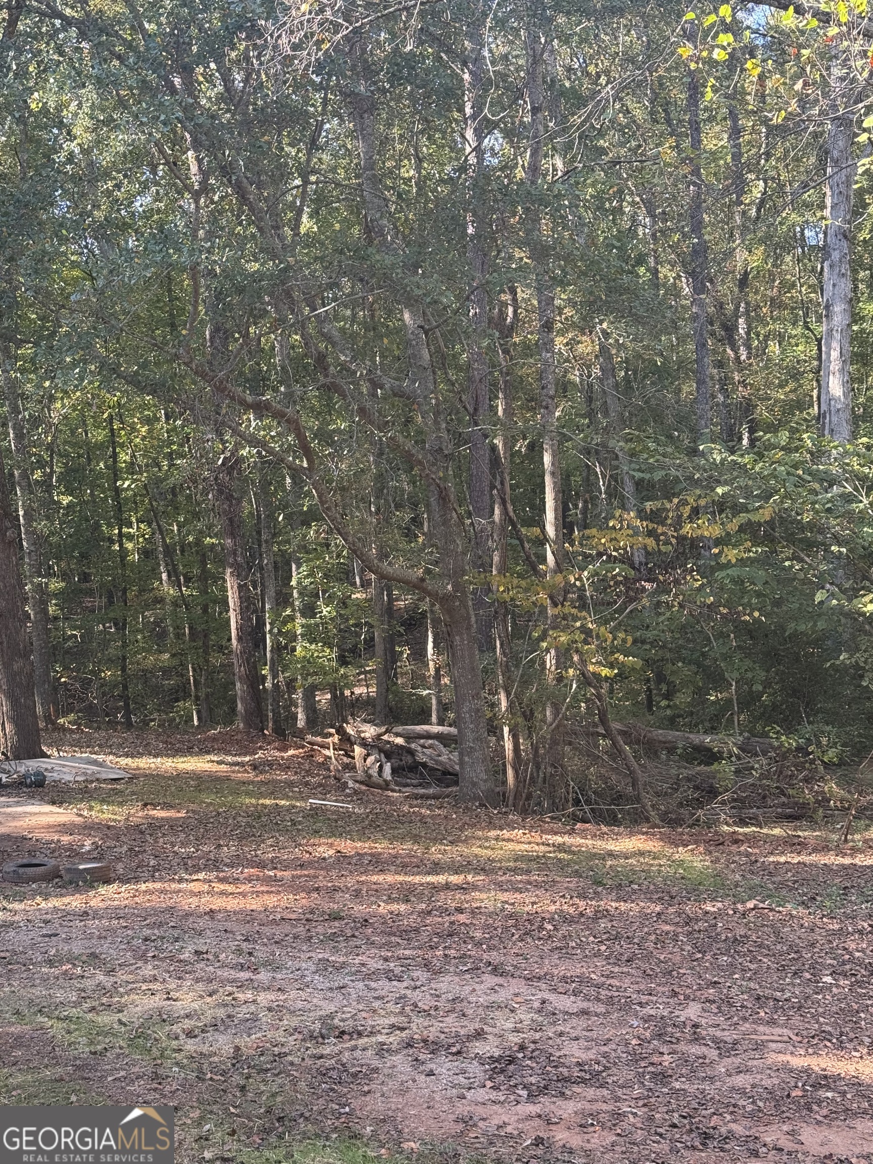 1516 Stark Road Jackson GA 30233