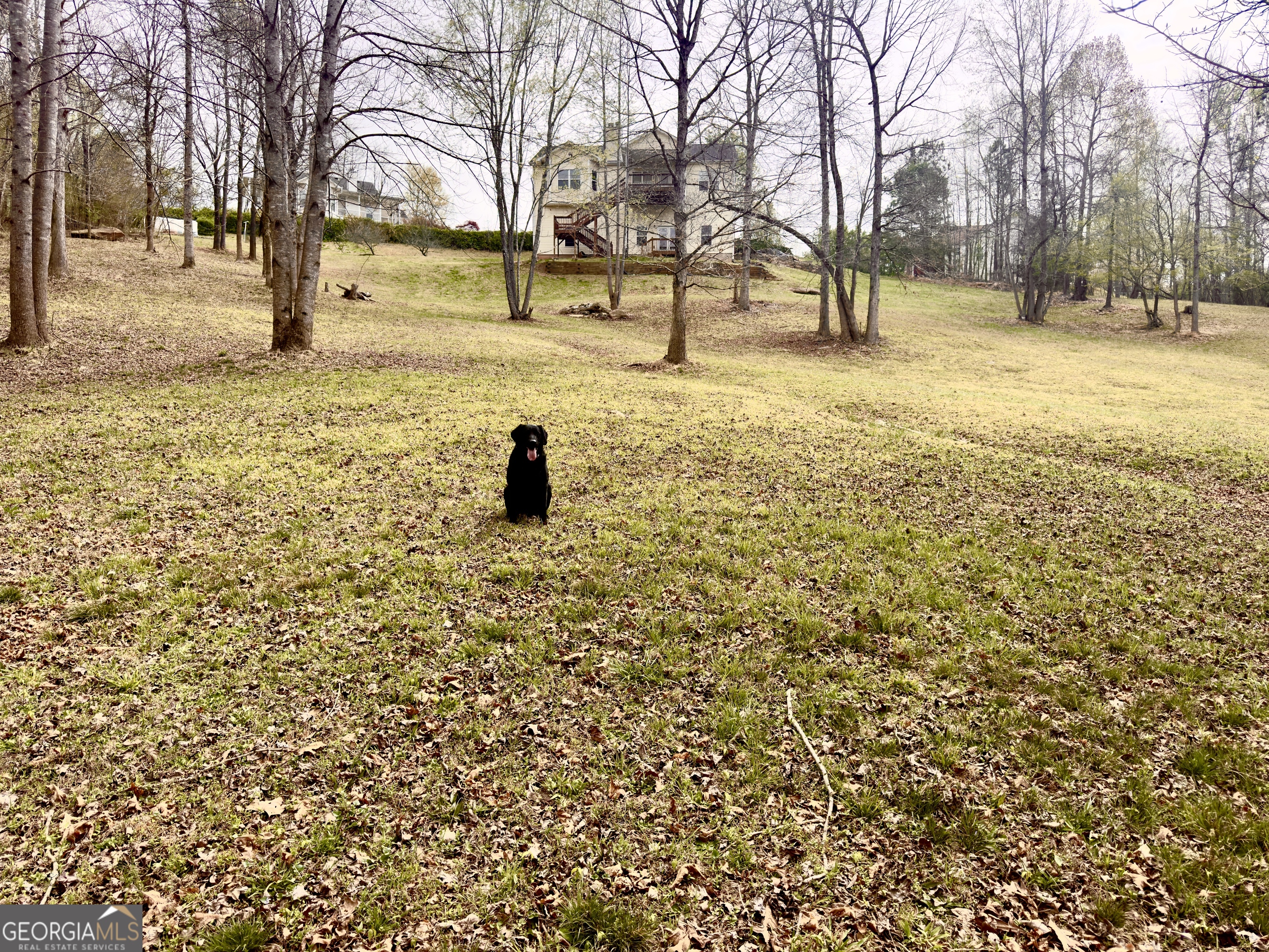 459 Nightdream Lane Winder GA 30680