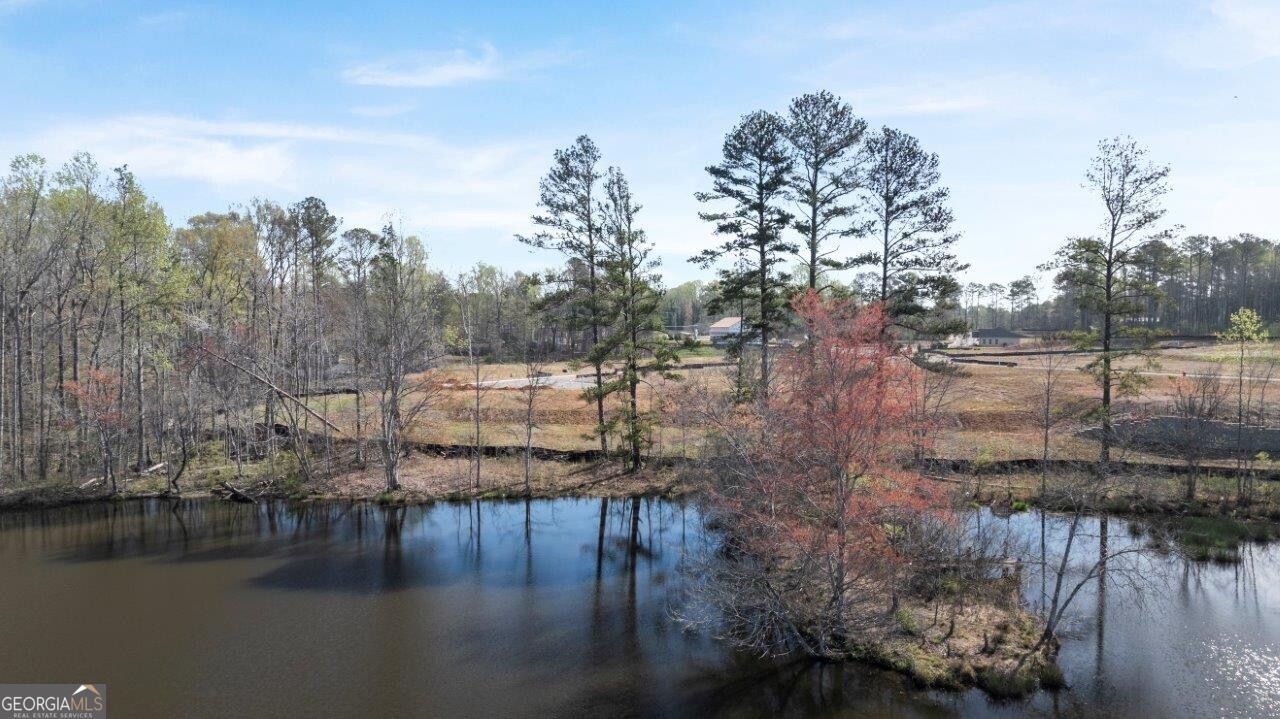 4029 Fairhaven Road Lithia Springs GA 30122