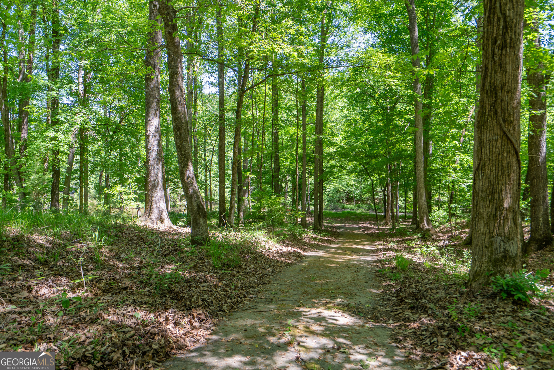 1491 Swords Trail Buckhead GA 30625
