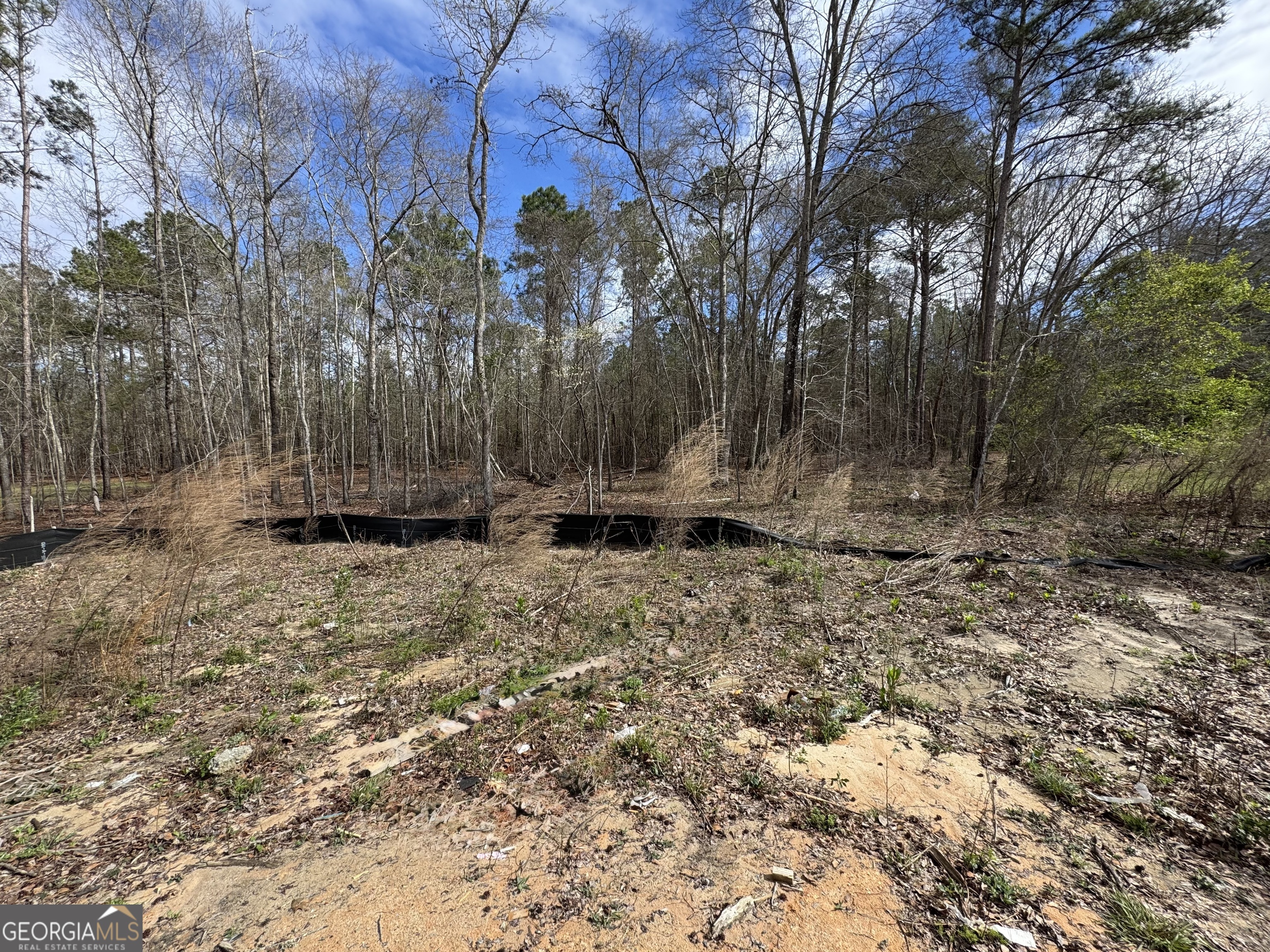 166 Country World Drive Macon GA 31211