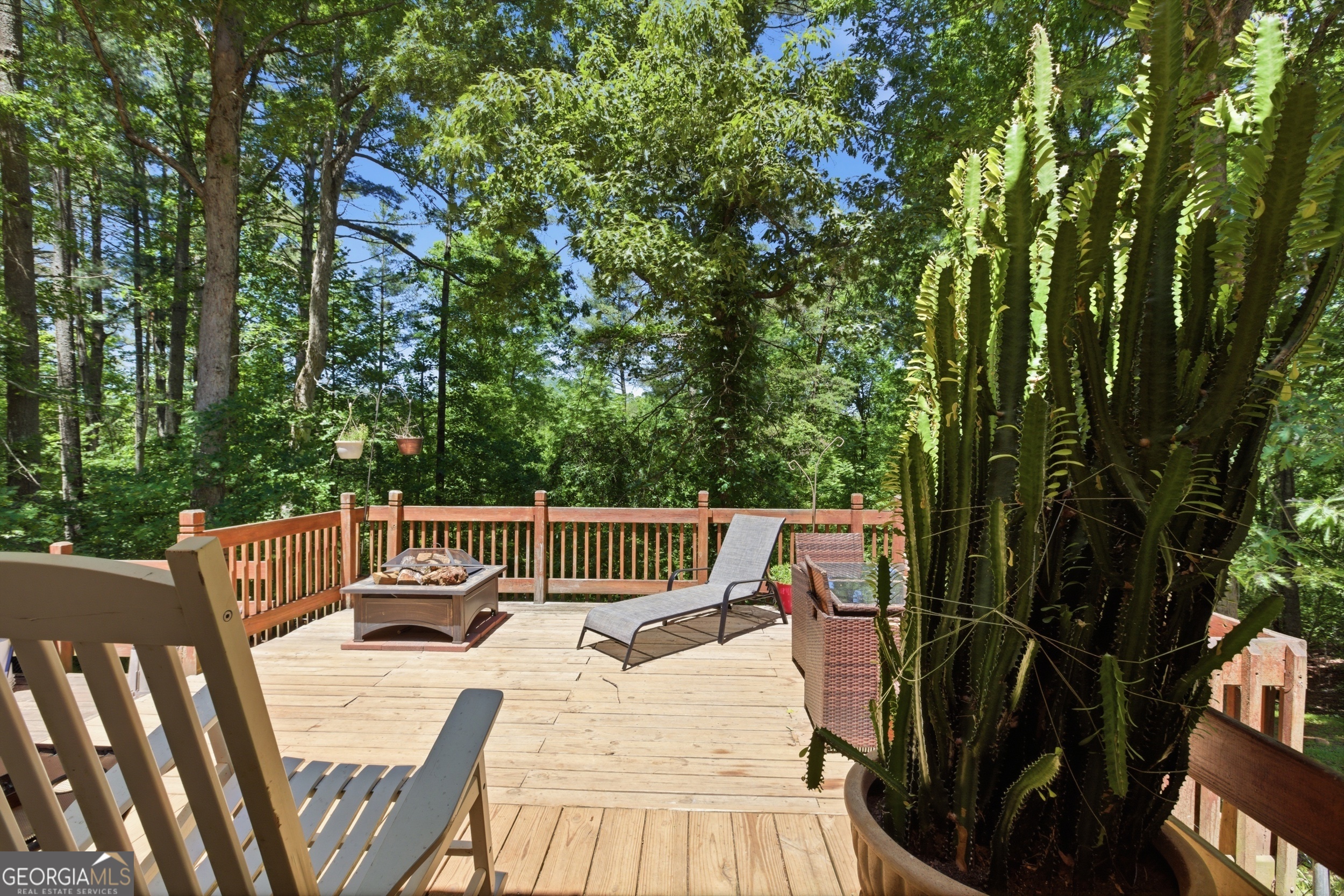 313 Pratten Drive Cleveland GA 30528