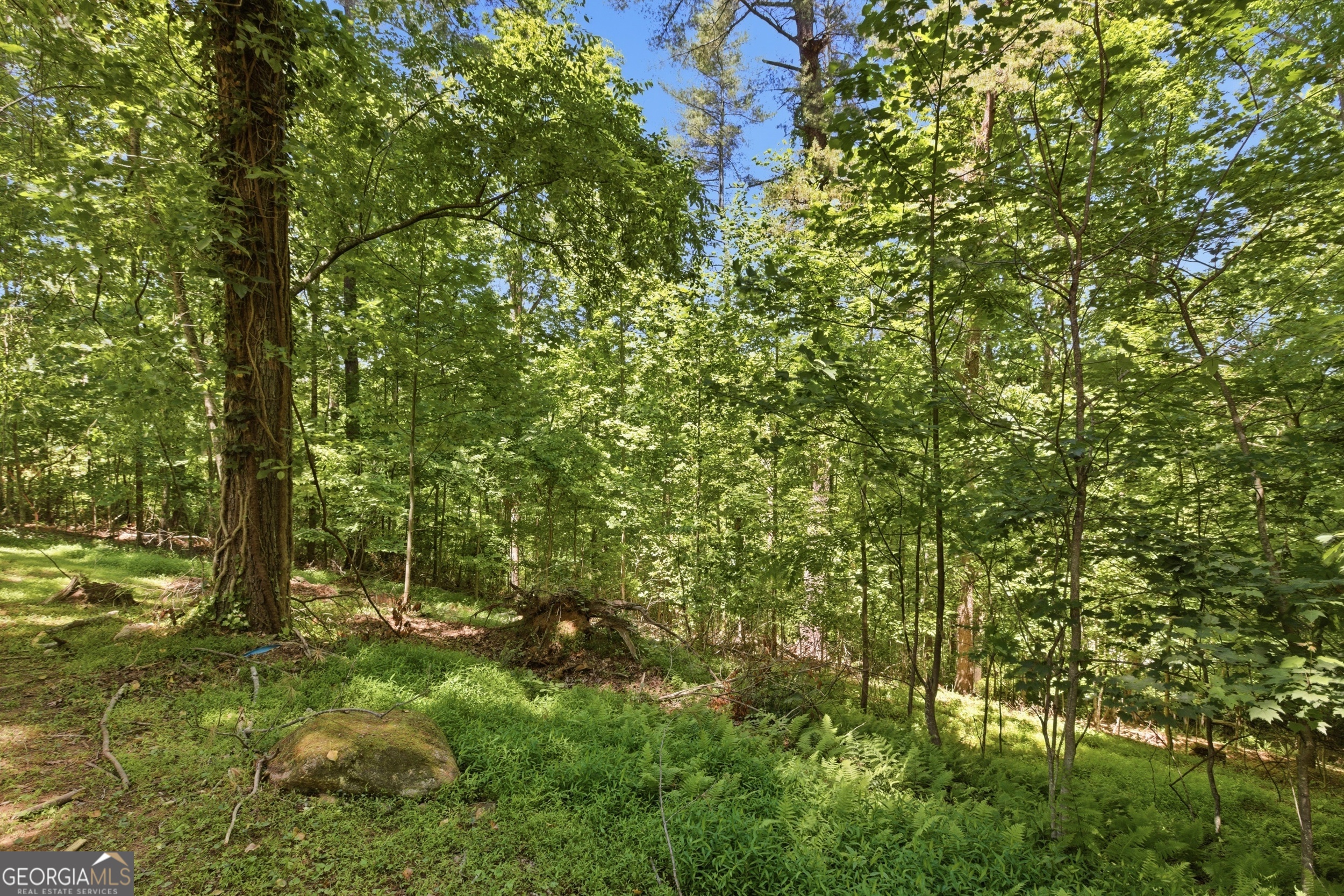 313 Pratten Drive Cleveland GA 30528
