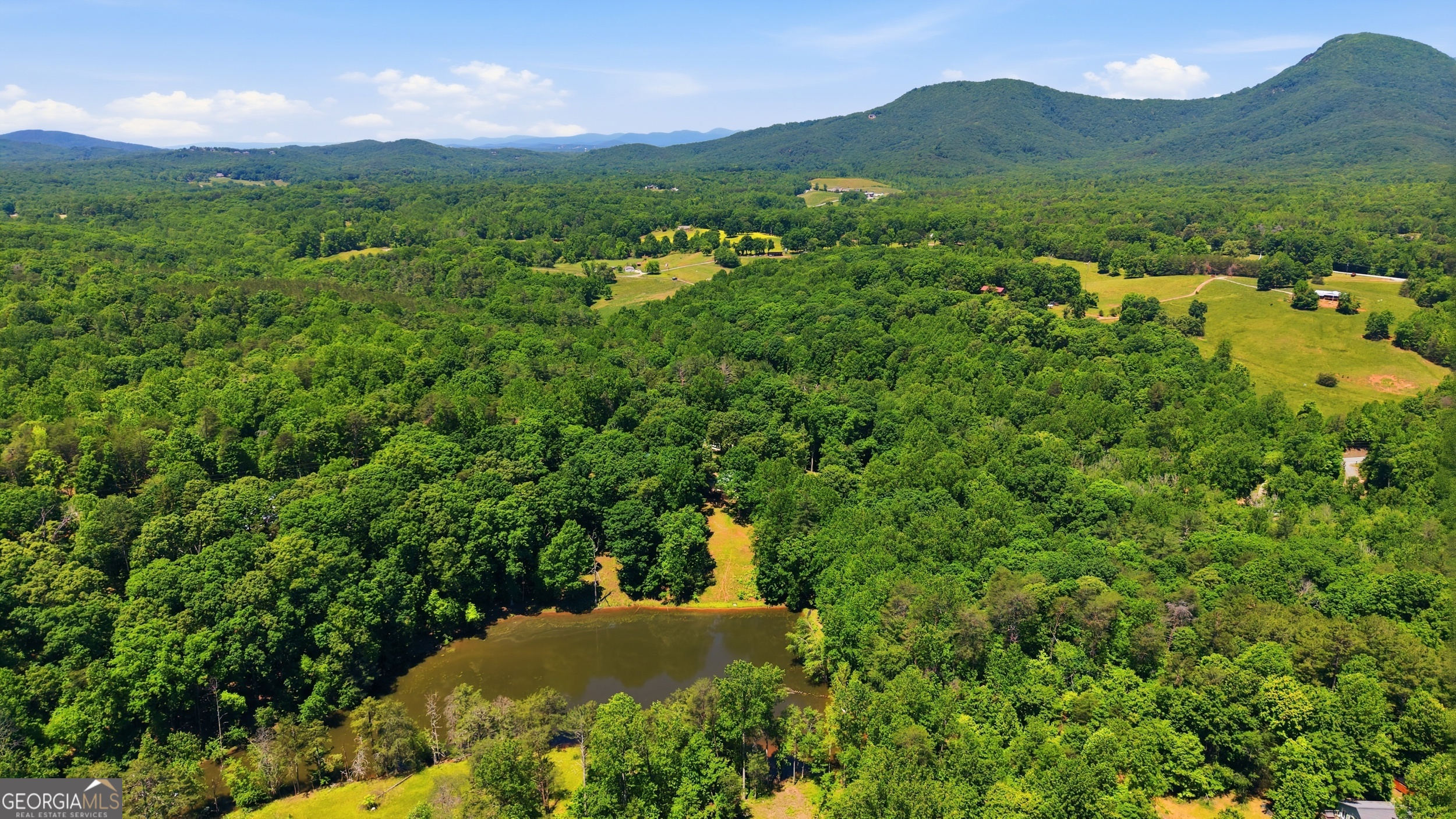 313 Pratten Drive Cleveland GA 30528