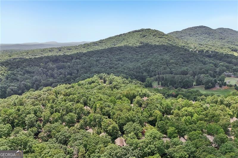 63 Choctaw Ridge Big Canoe GA 30143
