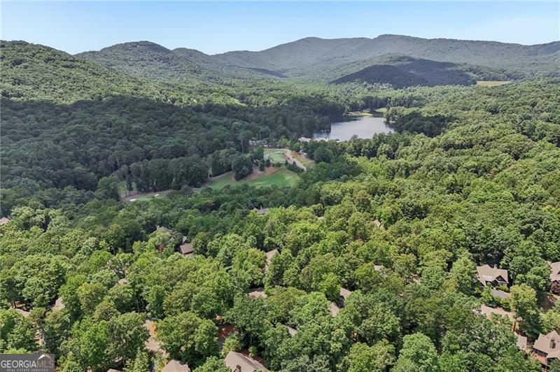 63 Choctaw Ridge Big Canoe GA 30143
