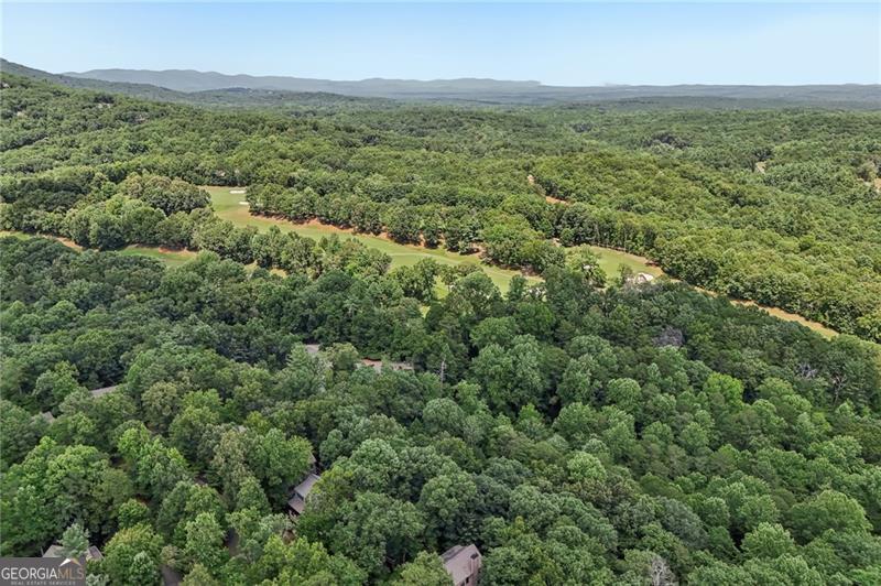 63 Choctaw Ridge Big Canoe GA 30143