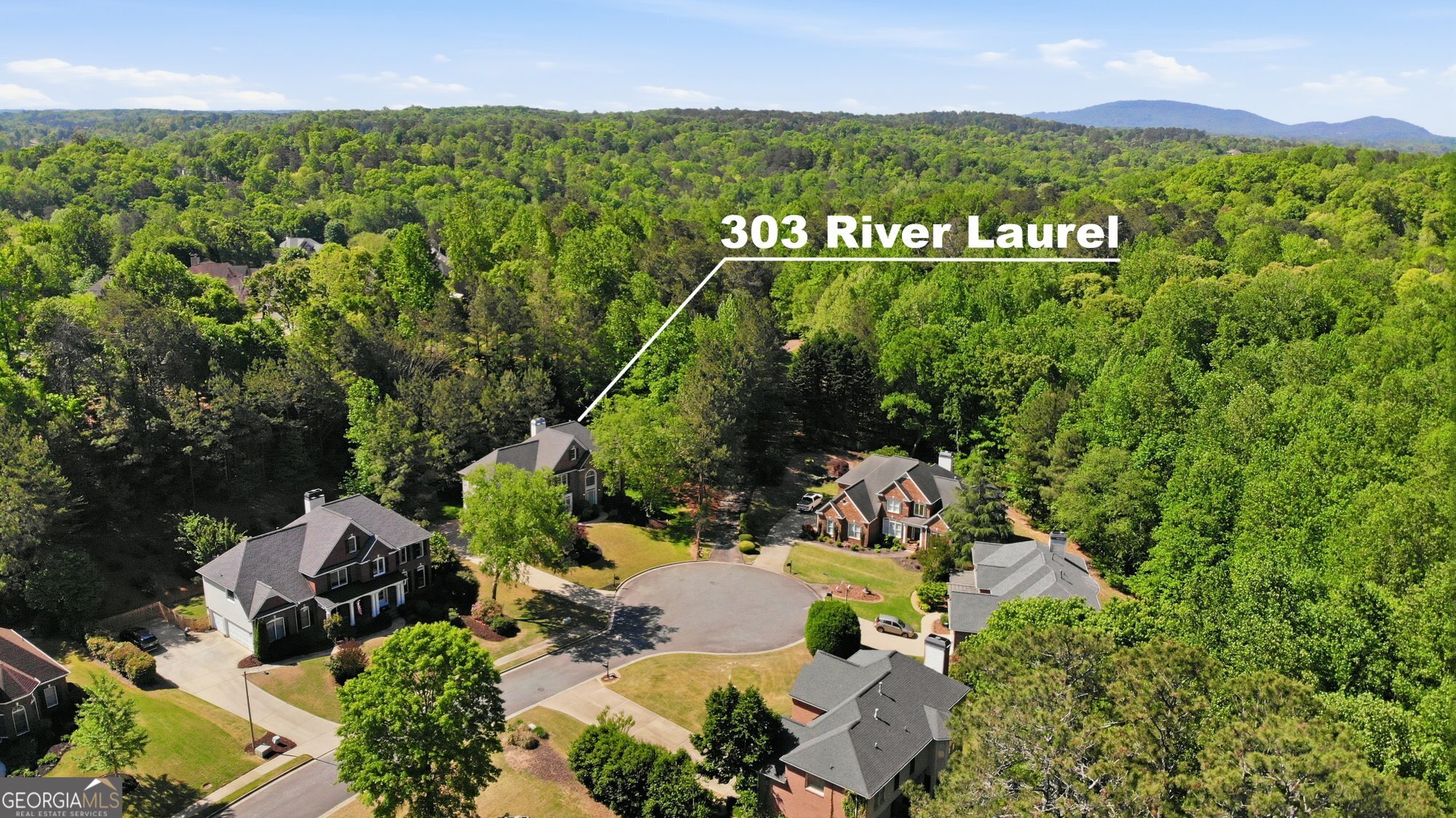 303 River Laurel Way Woodstock GA 30188