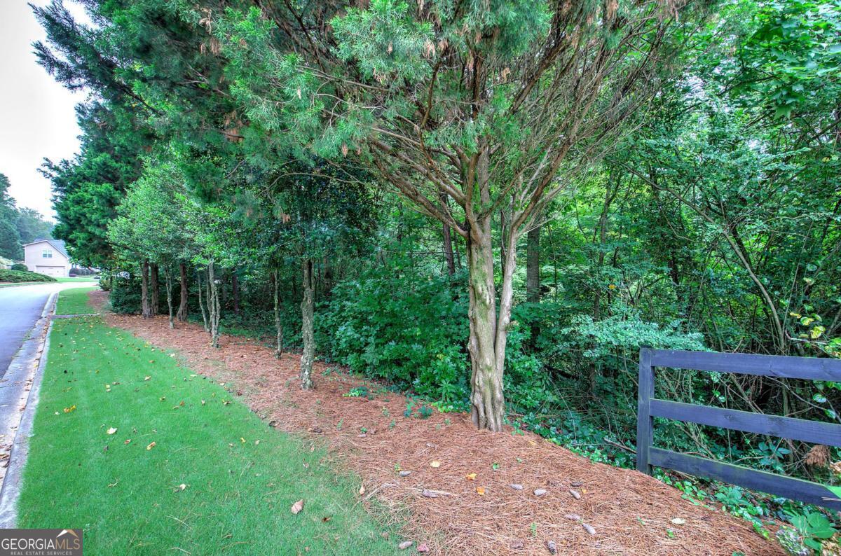 346 Thorn Creek Way Dallas GA 30157