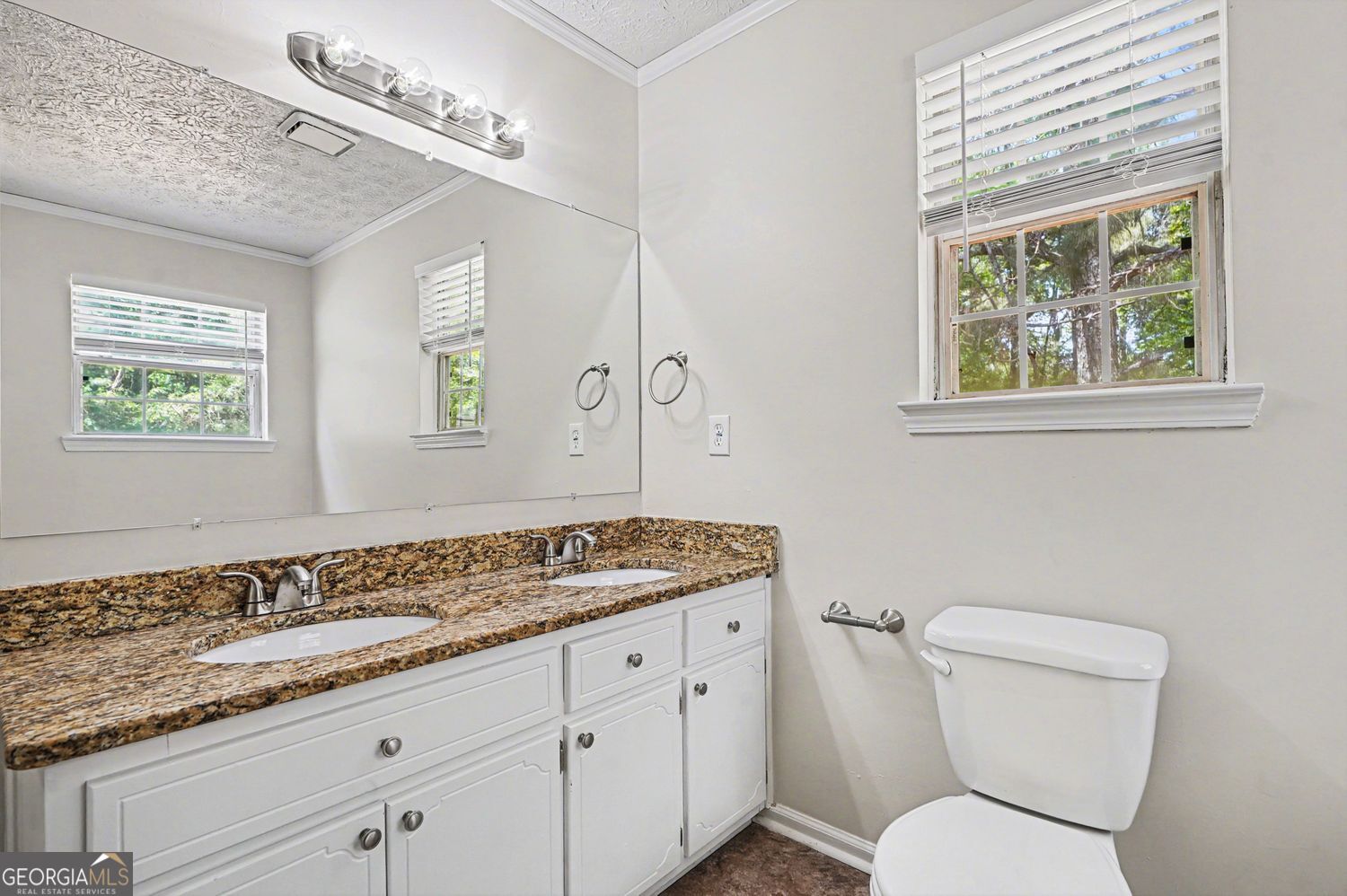 20 Woodside Court Mcdonough GA 30253