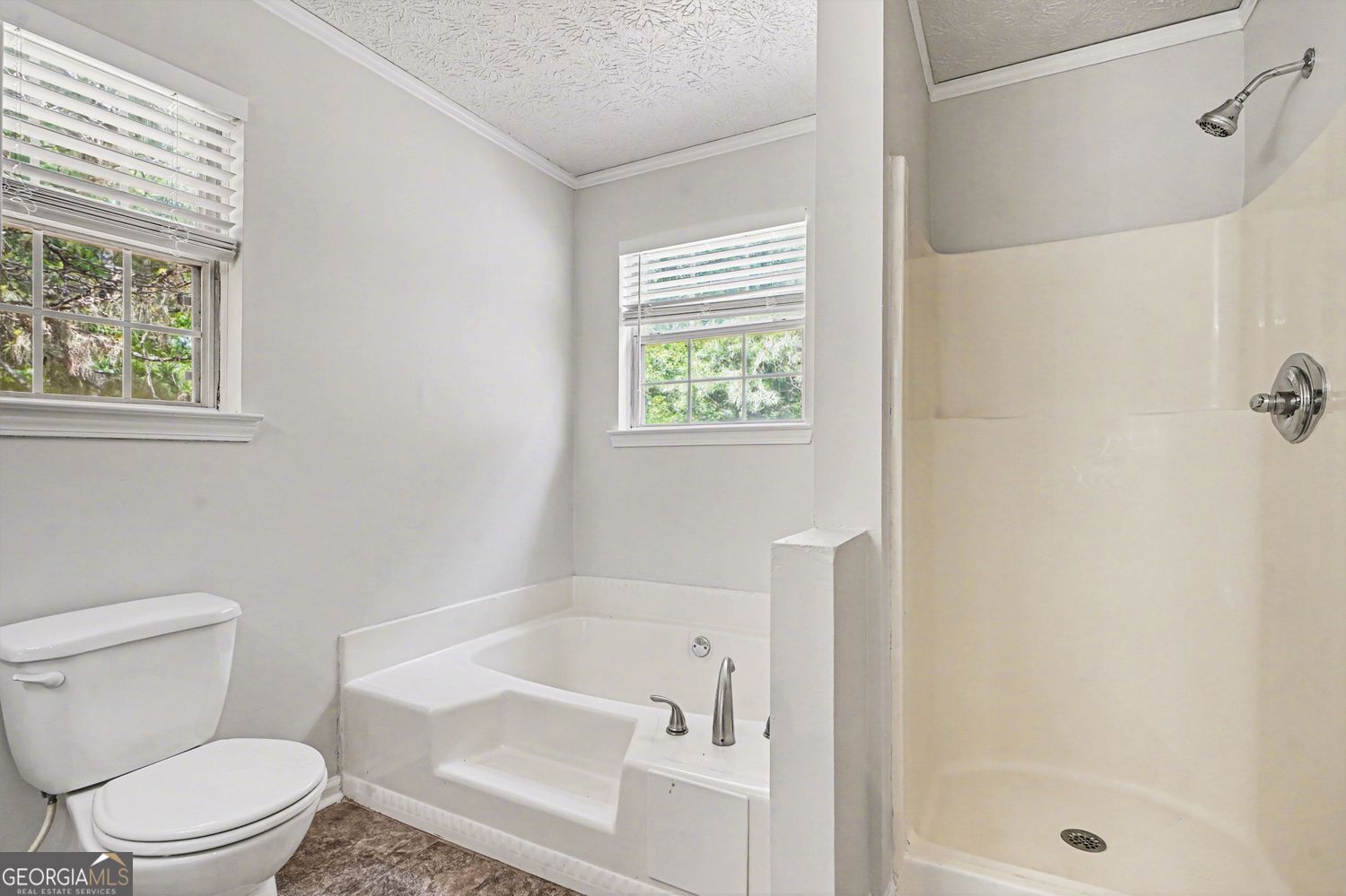 20 Woodside Court Mcdonough GA 30253