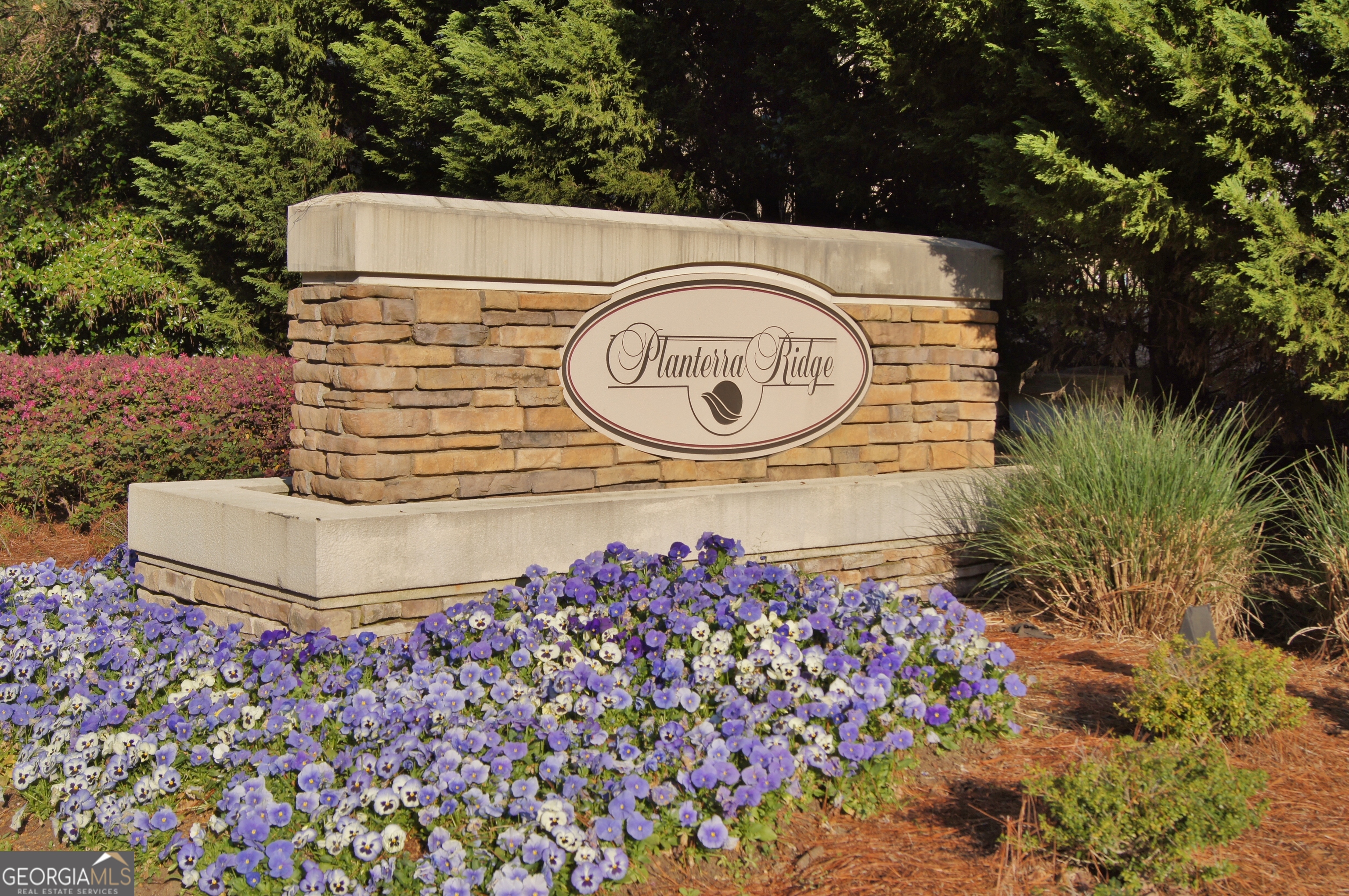 113 Terrane Ridge Peachtree City GA 30269