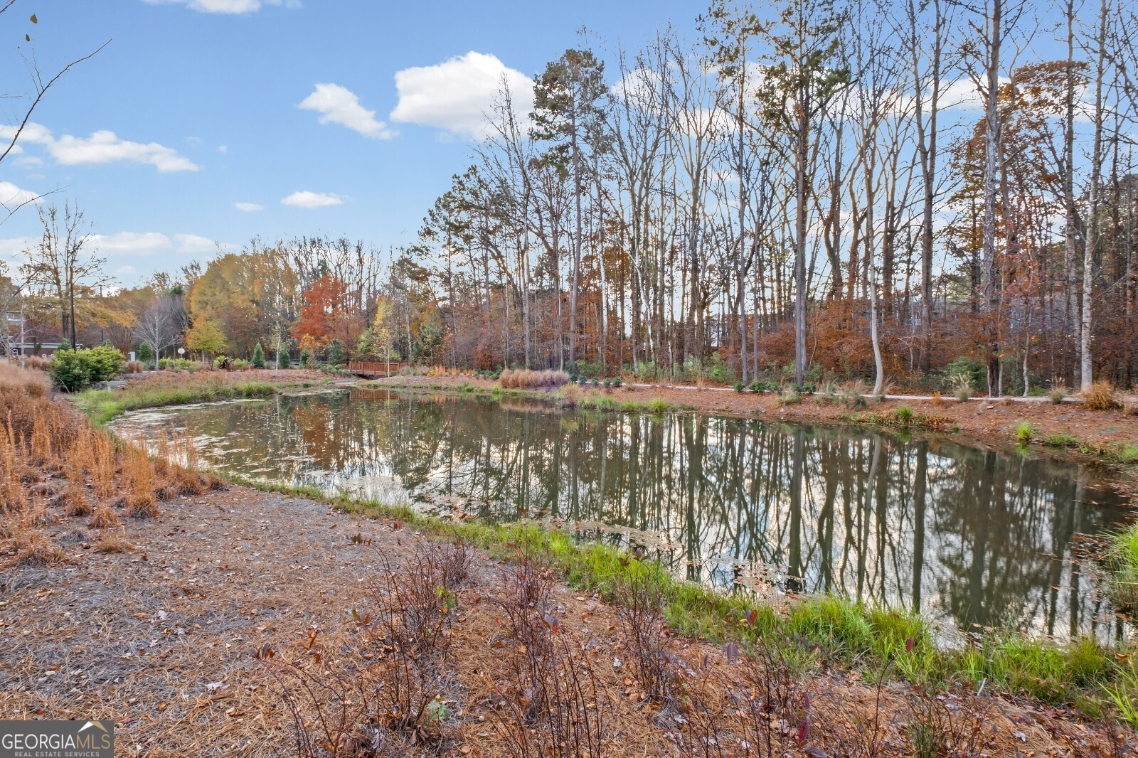 223 Downing Drive Alpharetta GA 30022