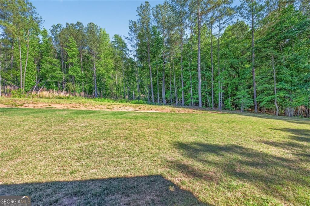 1537 Ridgewood Court Monroe GA 30656
