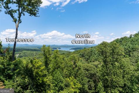 723 Ripshin Heights Blue Ridge GA 30513