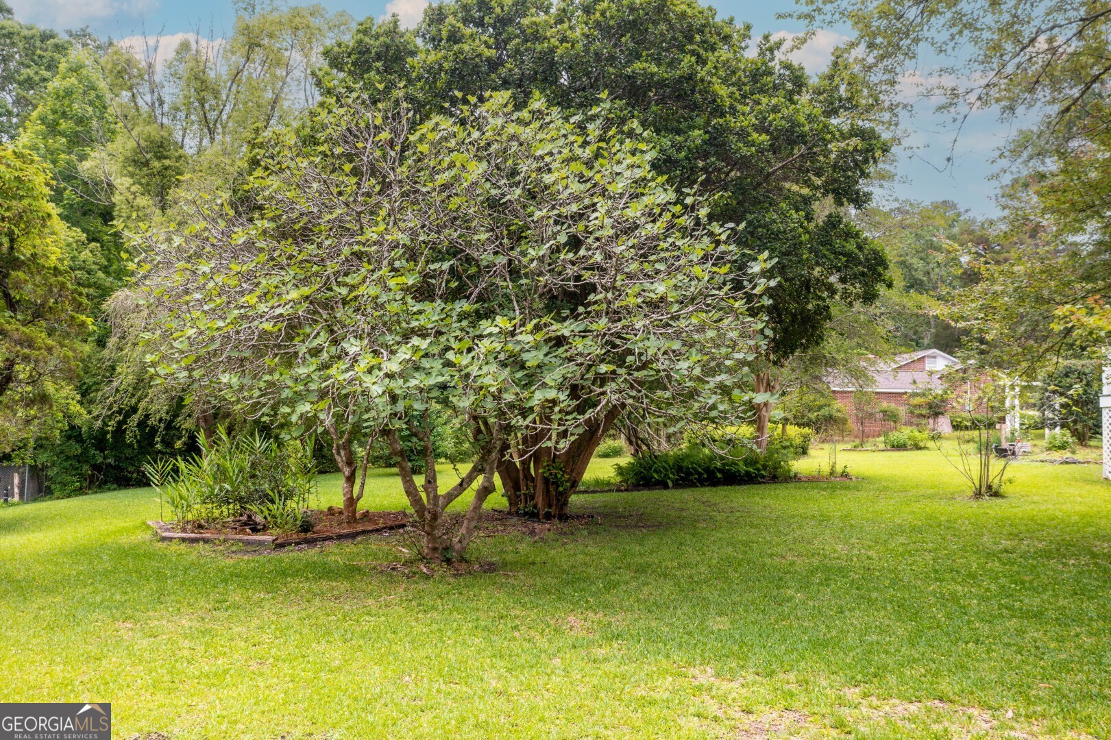 311 Hartford Road E Fort Gaines GA 39851