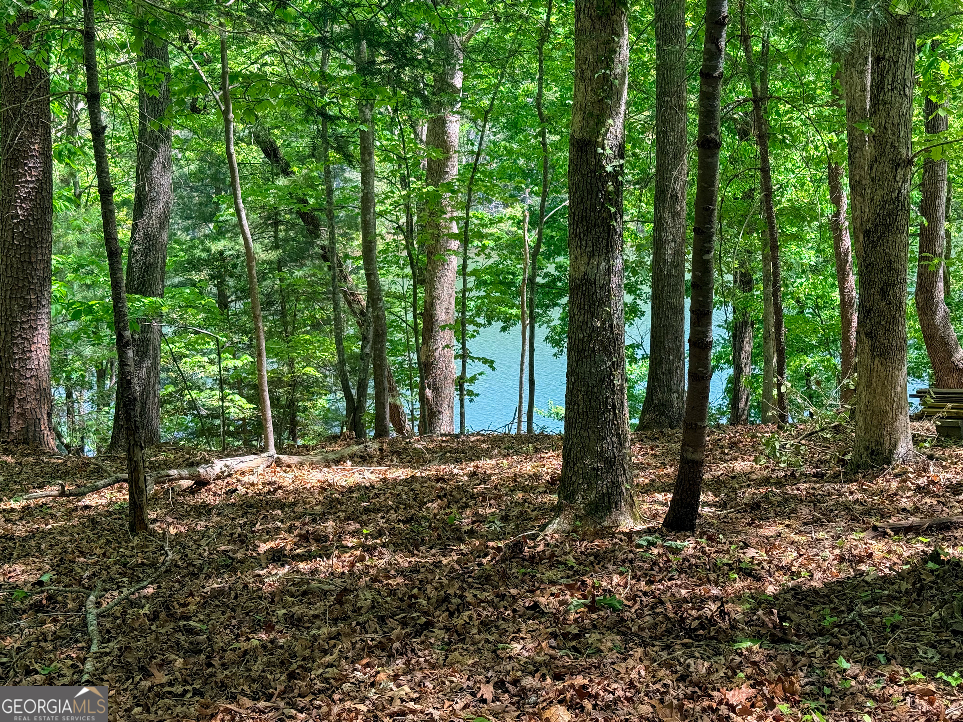 51 Mountain Park Boulevard Cleveland GA 30528
