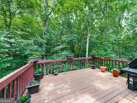 314 Spring Creek Blairsville GA 30512